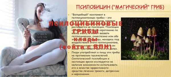 таблы Алзамай