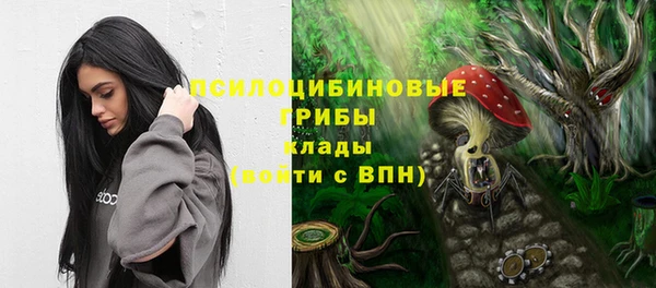 спиды Алексин
