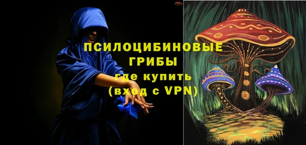 спиды Алексин