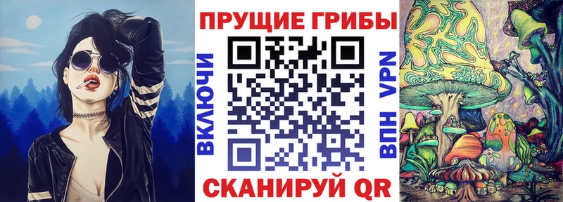 Галлюциногенные грибы GOLDEN TEACHER  что такое   Карабаш 
