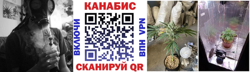 ОМГ ОМГ зеркало  где найти наркотики  Карабаш  Бошки марихуана Amnesia 